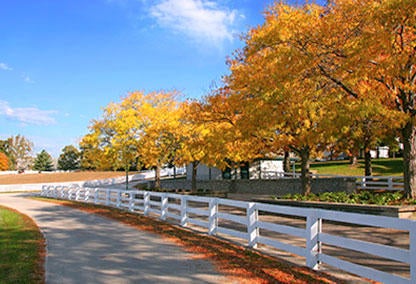 property for sale in shelbyville ky