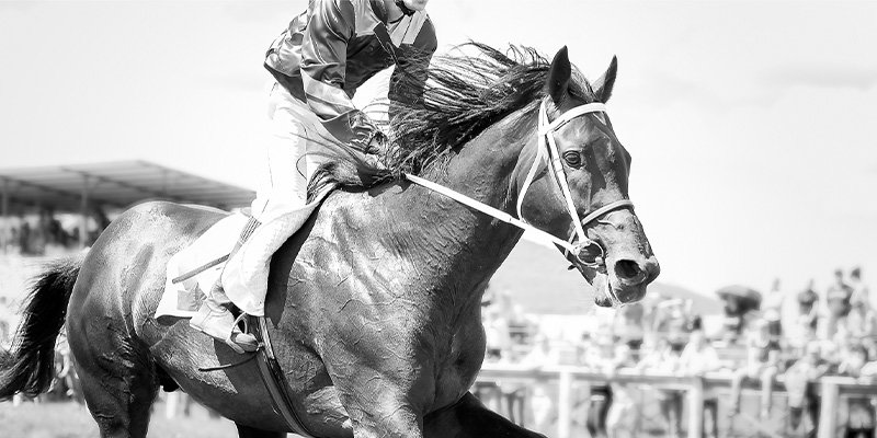 old black and white picture of jockey on horse 