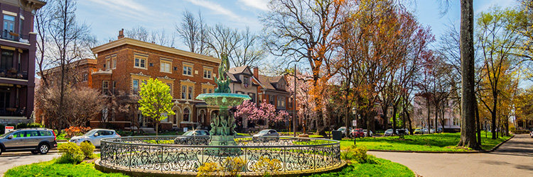view of st james ct fountain with victorian homes in the background