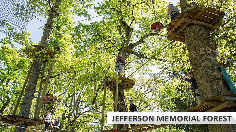 Go Ape rope course at Jefferson Memorial Forest park.
