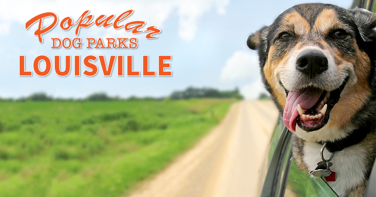 The Best Dog Parks in Louisville, KY